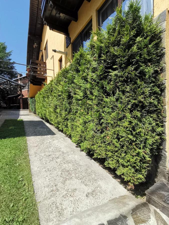 Shelby Accommodation -Adult Only- Sinaia Exterior photo