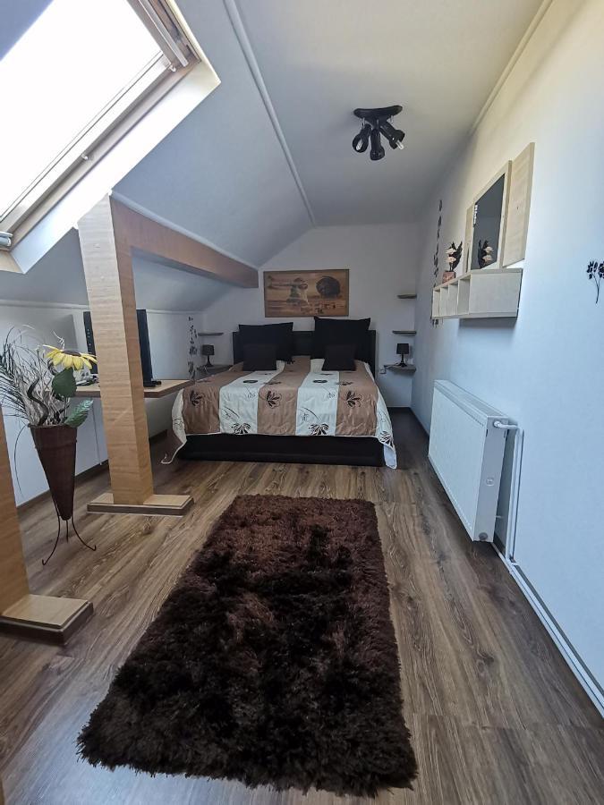 Shelby Accommodation -Adult Only- Sinaia Room photo